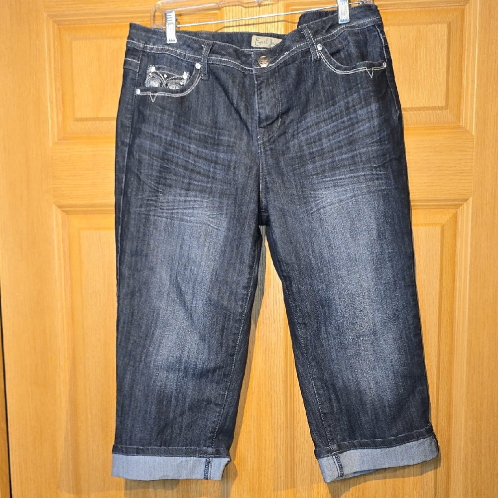 Earl Jeans Indigo Denim Pants
